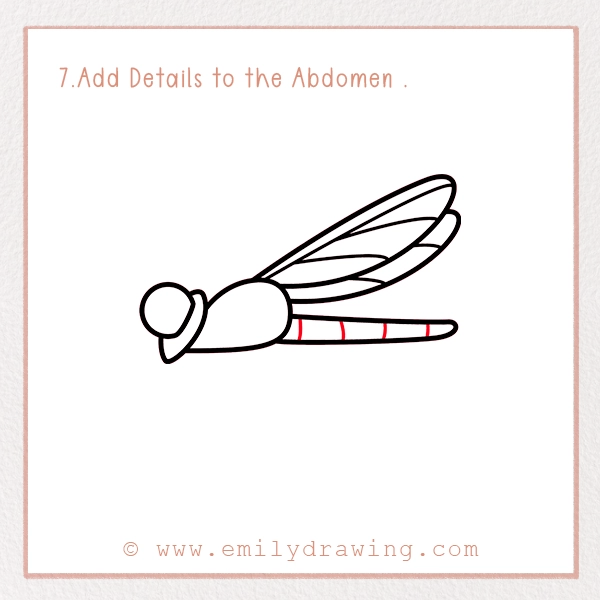 How to Draw a Dragonfly - Step 7 - Add Details to the Abdomen