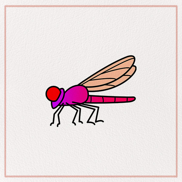 How to Draw a Dragonfly Feature