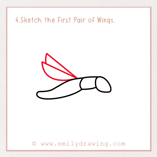 How to Draw a Firefly - Step 4 - Sketch the First Pair of Wings