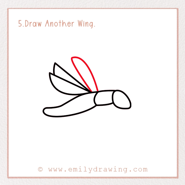 How to Draw a Firefly - Step 5 - Draw Another Wing