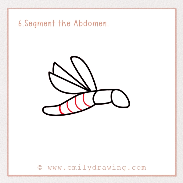 How to Draw a Firefly - Step 6 - Segment the Abdomen