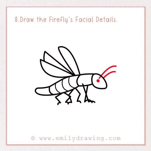 How to Draw a Firefly - Step 8 - Draw the Firefly's Facial Details