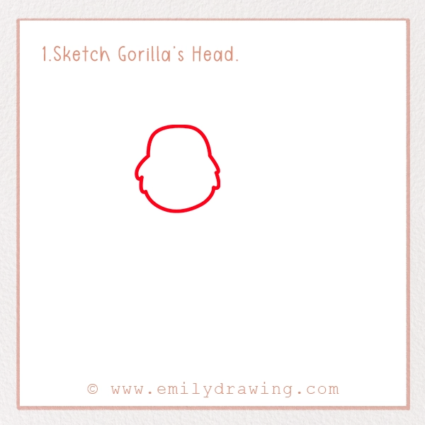 How to Draw a Gorilla - Step 1 - Sketch Gorilla’s Head