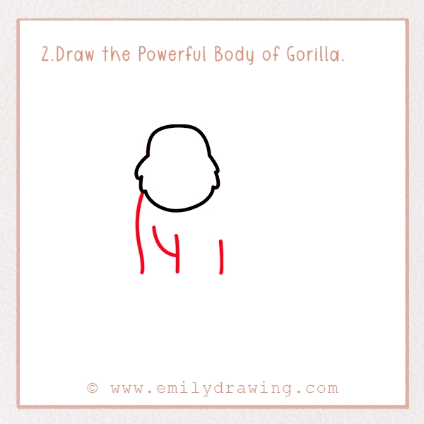 How to Draw a Gorilla - Step 2 - Draw the Powerful Body of Gorilla (Part 1)