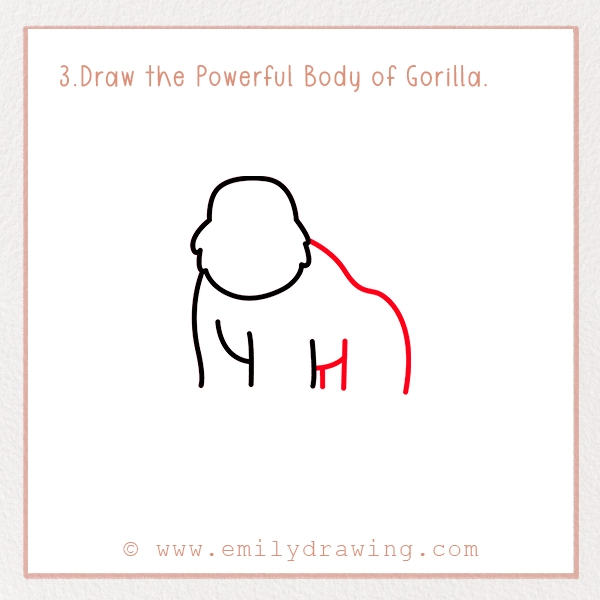 How to Draw a Gorilla - Step 3 - Draw the Powerful Body of Gorilla (Part 2)