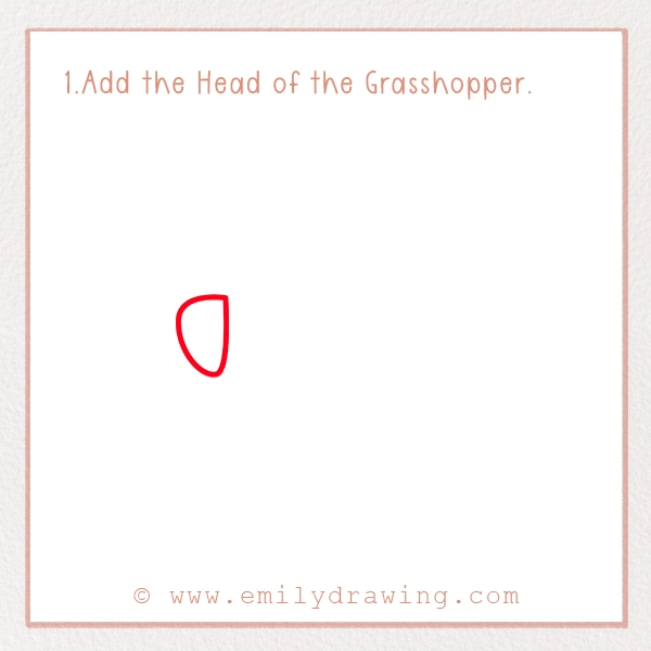 How to Draw a Grasshopper - Step 1 - Add the Head of the Grasshopper