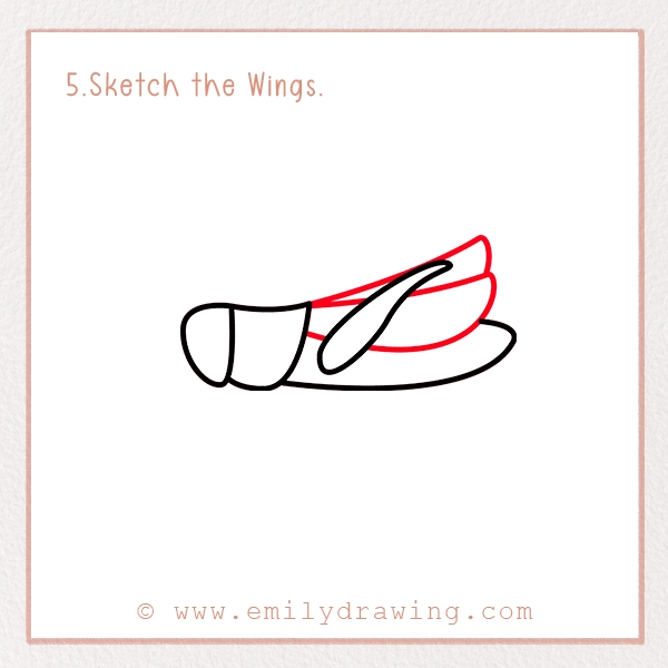 How to Draw a Grasshopper - Step 5 - Sketch the Wings