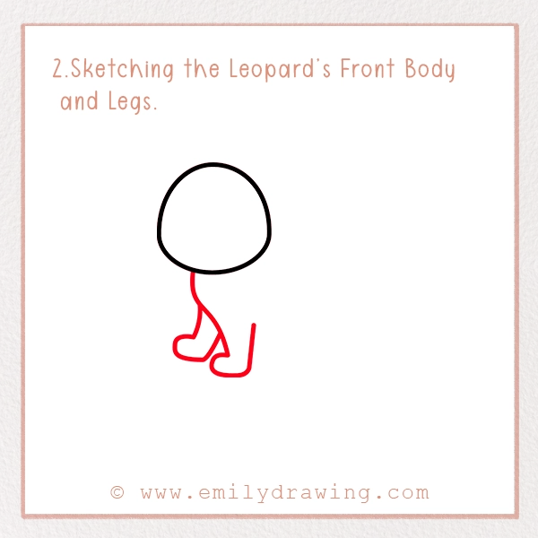 How to Draw a Leopard - Step 2 - Sketching the Leopard’s Front Body and Legs