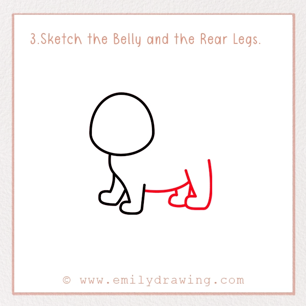 How to Draw a Leopard - Step 3 - Sketch the Belly and the Rear Legs