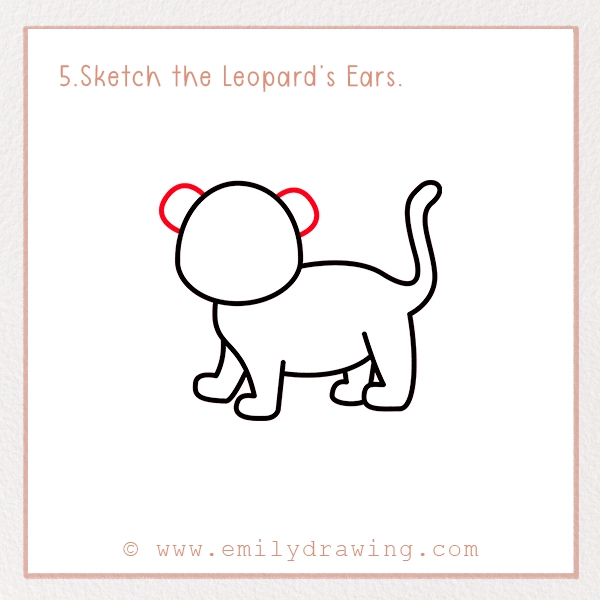 How to Draw a Leopard - Step 5 - Sketch the Leopard’s Ears