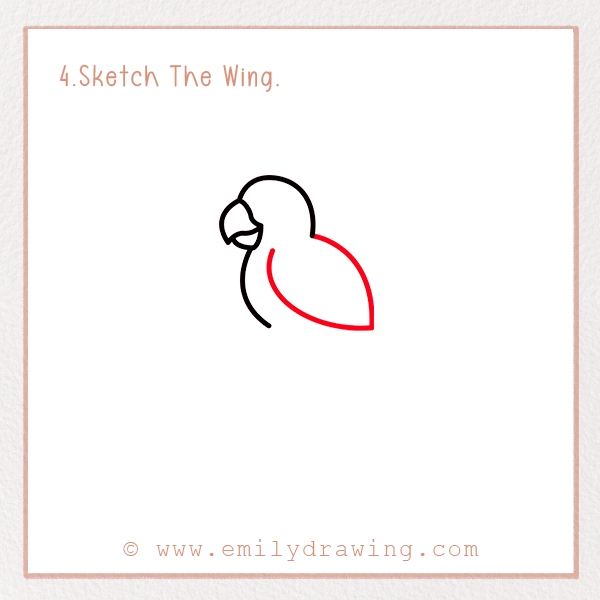 How to Draw a Macaw - Step 4 - Sketch The Wing