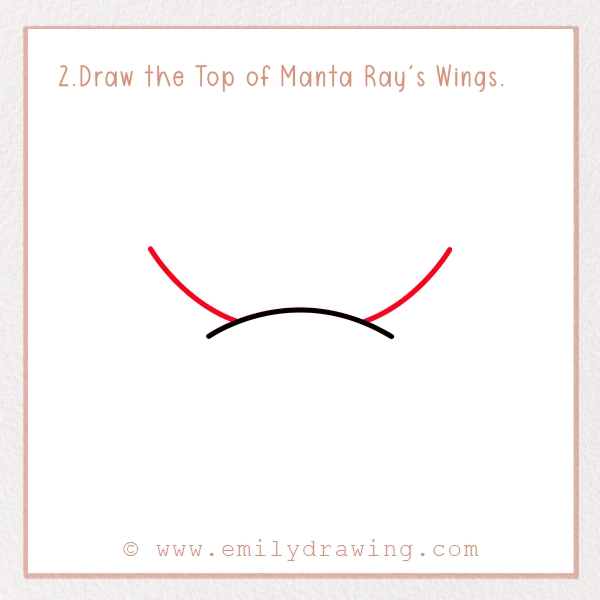 How to Draw a Manta Ray - Step 2 - Draw the Top of Manta Ray's Wings