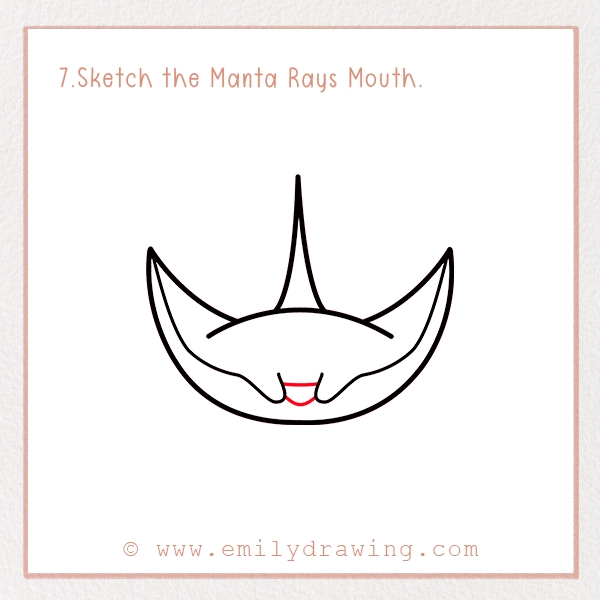 How to Draw a Manta Ray - Step 7 - Sketch the Manta Rays Mouth