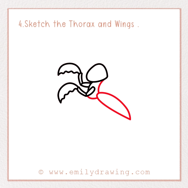 How to Draw a Mantis - Step 4 - Sketch the Thorax and Wings