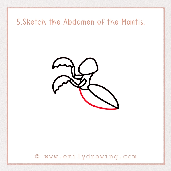 How to Draw a Mantis - Step 5 - Sketch the Abdomen of the Mantis