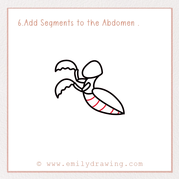 How to Draw a Mantis - Step 6 - Add Segments to the Abdomen