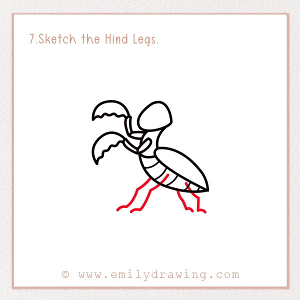 How to Draw a Mantis - Step 7 - Sketch the Hind Legs