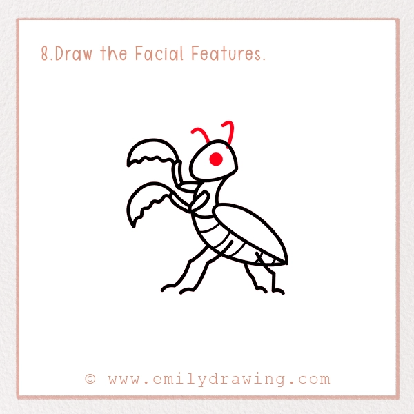 How to Draw a Mantis - Step 8 - Draw the Facial Features