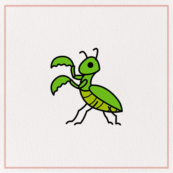 How to Draw a Mantis Feature