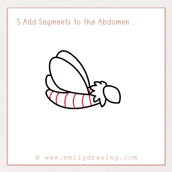 How to Draw a Moth - Step 5 - Add Segments to the Abdomen 