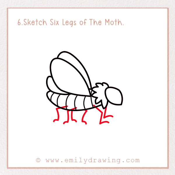 How to Draw a Moth - Step 6 - Sketch Six Legs of The Moth