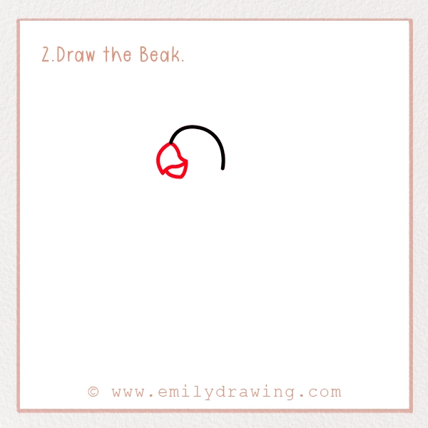 How to Draw a Parrot - Step 2 - Draw the Beak