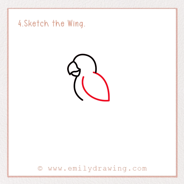 How to Draw a Parrot - Step 4 - Sketch the Wing