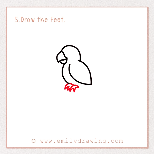 How to Draw a Parrot - Step 5 - Draw the Feet