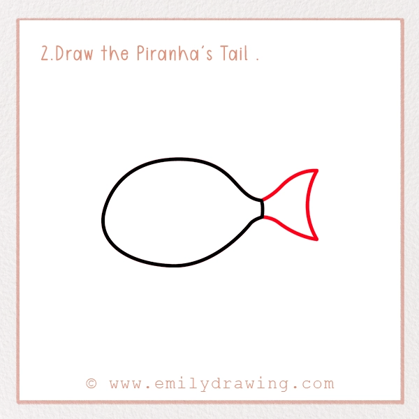 How to Draw a Piranha - Step 2 - Draw the Piranha's Tail