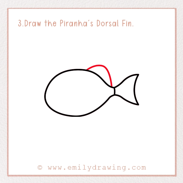 How to Draw a Piranha - Step 3 - Draw the Piranha's Dorsal Fin