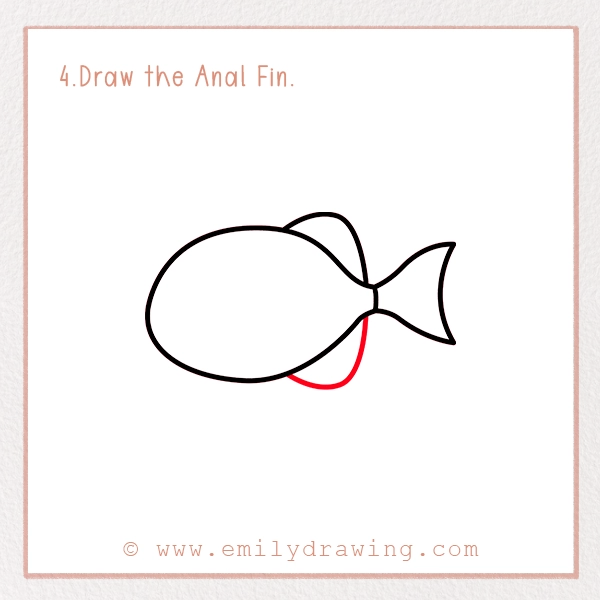 How to Draw a Piranha - Step 4 - Draw the Anal Fin