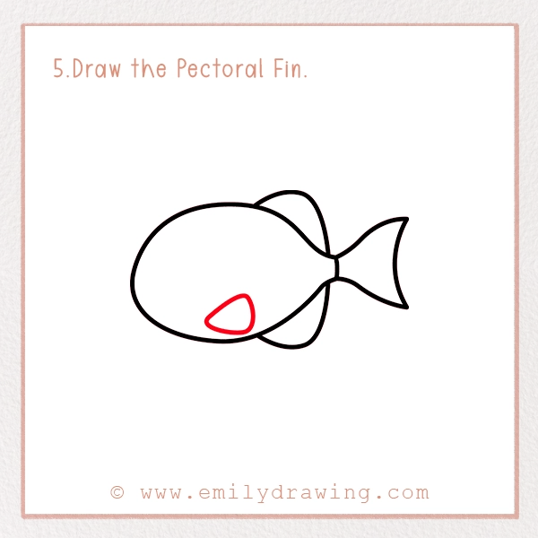 How to Draw a Piranha - Step 5 - Draw the Pectoral Fin