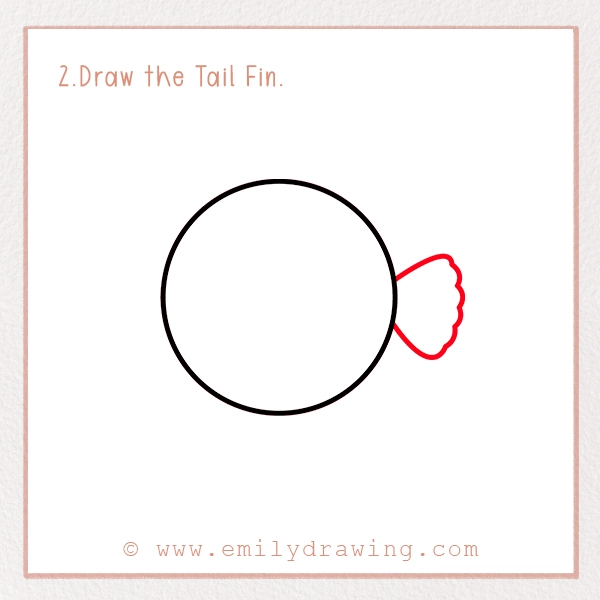 How to Draw a Puffer Fish - Step 2 - Draw the Tail Fin