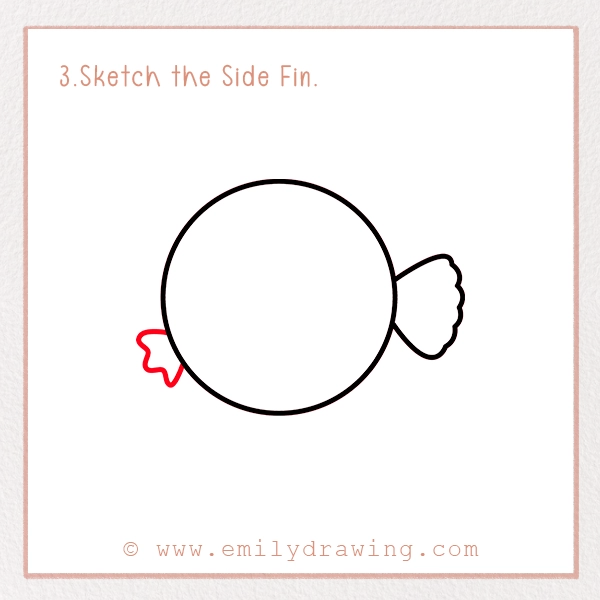 How to Draw a Puffer Fish - Step 3 - Sketch the Side Fin