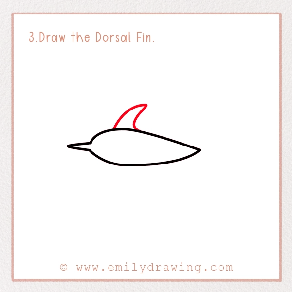 How to Draw a Swordfish - Step 3 - Draw the Dorsal Fin