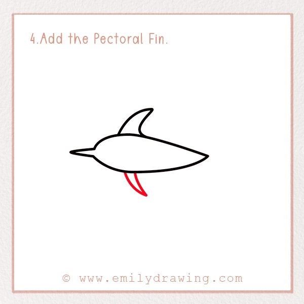 How to Draw a Swordfish - Step 4 - Add the Pectoral Fin