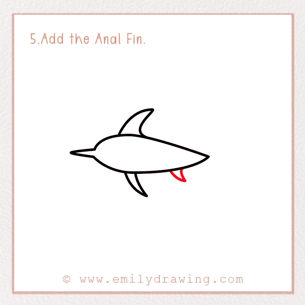 How to Draw a Swordfish - Step 5 - Add the Anal Fin