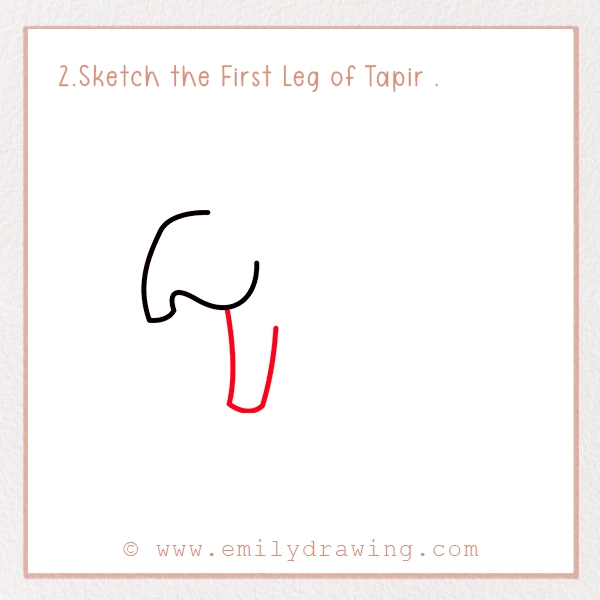 How to Draw a Tapir - Step 2 - Sketch the First Leg of Tapir