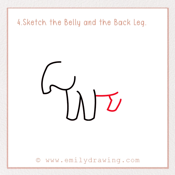 How to Draw a Tapir - Step 4 - Sketch the Belly and the Back Leg