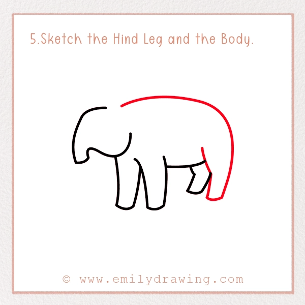 How to Draw a Tapir - Step 5 - Sketch the Hind Leg and the Body