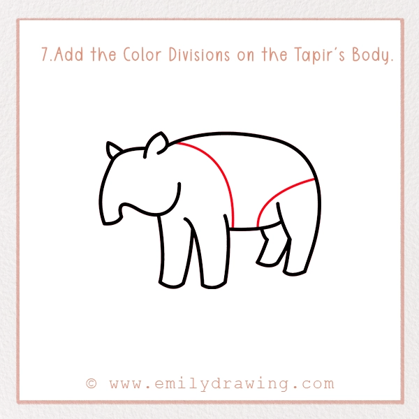 How to Draw a Tapir - Step 7 - Add the Color Divisions on the Tapir's Body