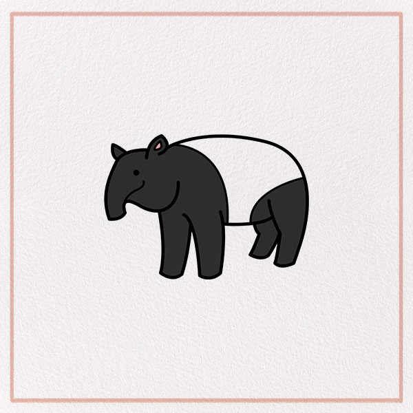 How to Draw a Tapir Feature