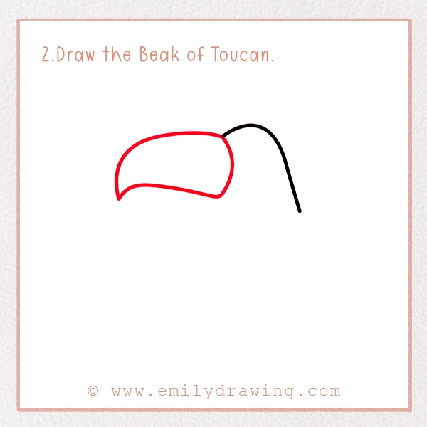 How to Draw a Toucan - Step 2 - Draw the Beak of Toucan