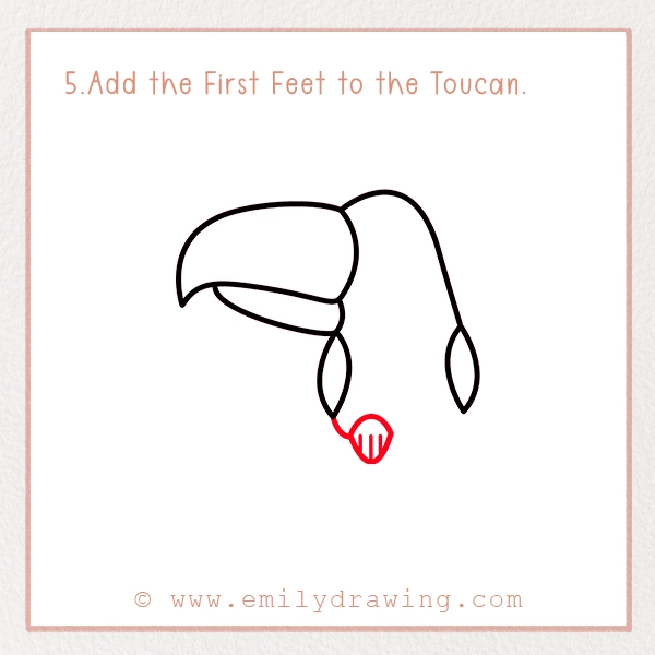 How to Draw a Toucan - Step 5 - Add the First Feet to the Toucan