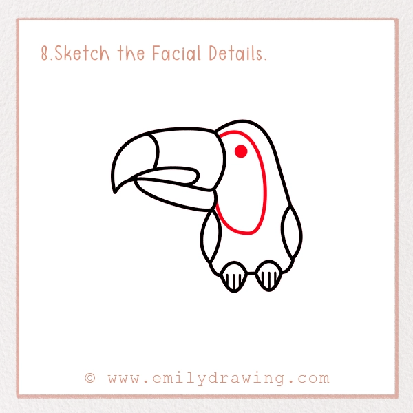 How to Draw a Toucan - Step 8 - Sketch the Facial Details