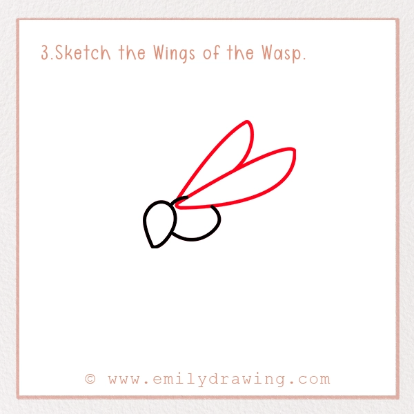 How to Draw a Wasp - Step 3 - Sketch the Wings of the Wasp