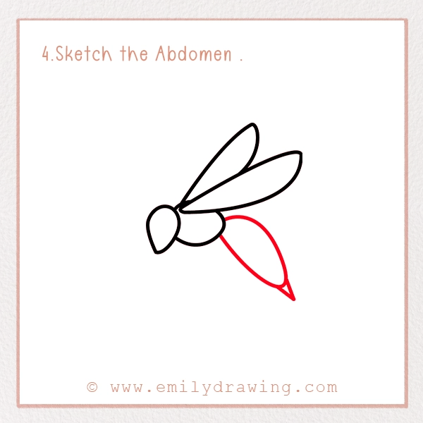 How to Draw a Wasp - Step 4 - Sketch the Abdomen