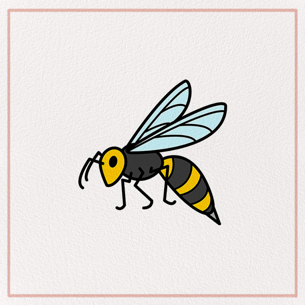 How to Draw a Wasp Feature