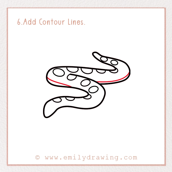 How to Draw an Anaconda - Step 6 - Add Contour Lines