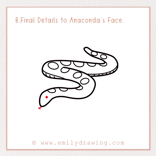 How to Draw an Anaconda - Step 8 - Final Details to Anaconda’s Face